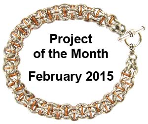 project of the month for February